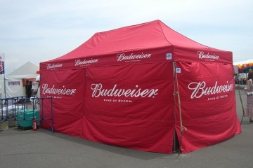 BUD08_720_360.jpg