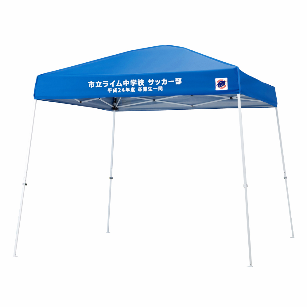 ビスタ (2.9m×2.9m)